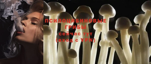 стаф Навашино