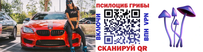 Галлюциногенные грибы GOLDEN TEACHER OMG зеркало это официальный сайт как найти закладки Купино